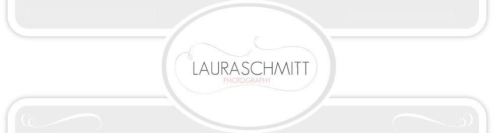 Laura Schmitt Photography logo