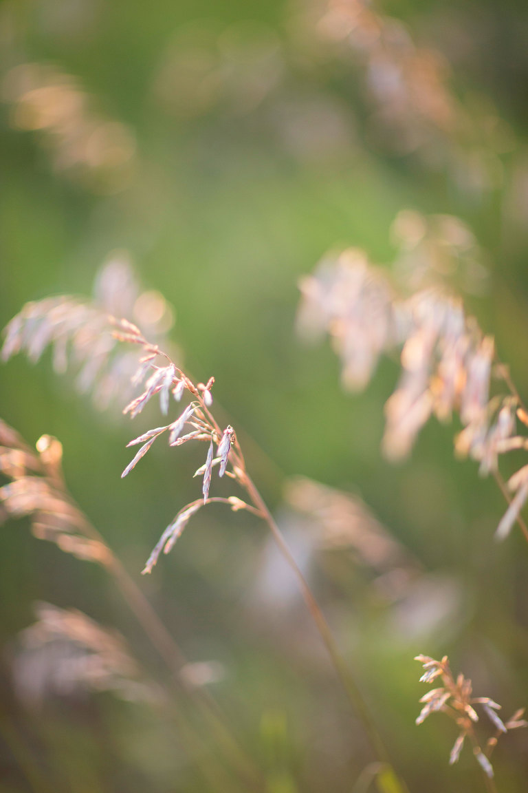 Eau-Claire-Engagement-Photography-07